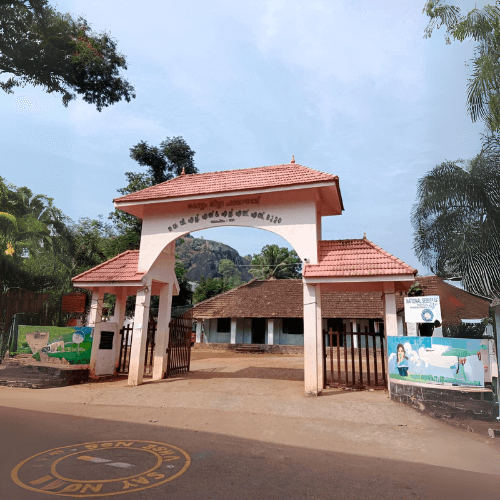 Untitled design (31) (1)